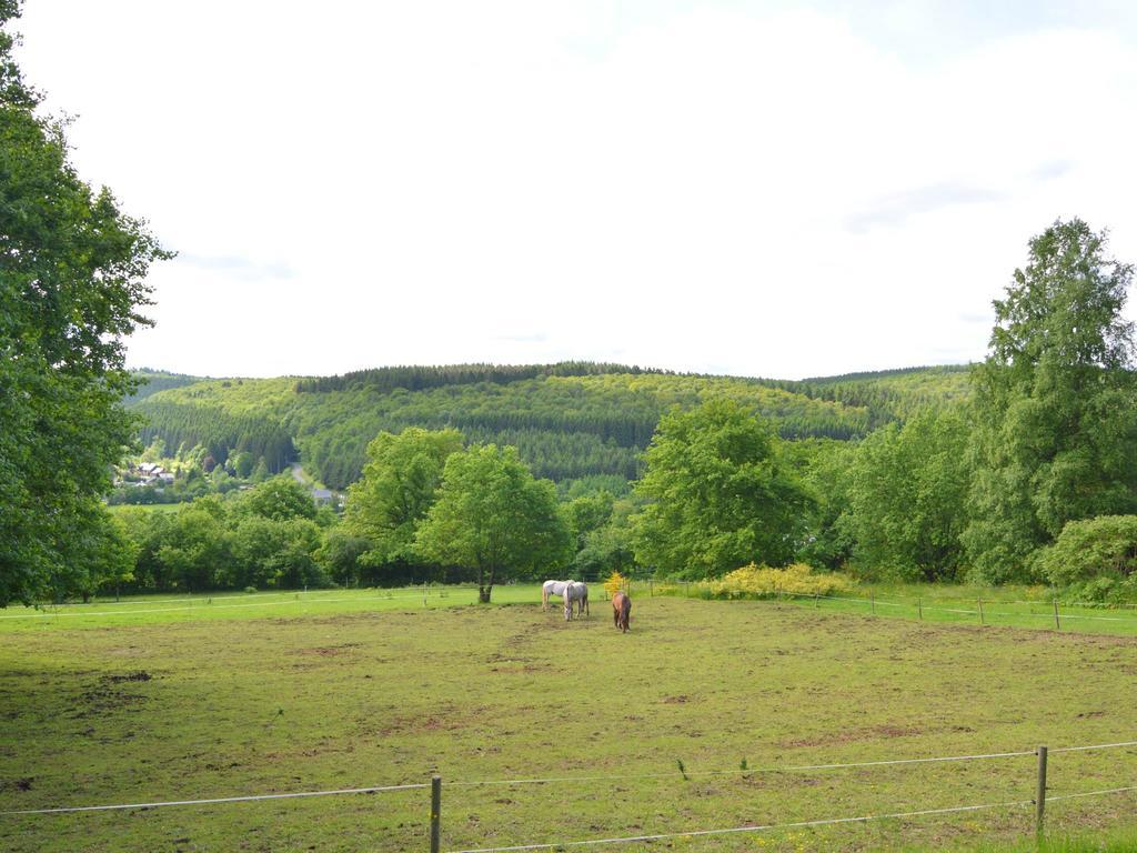 Pretty Cottage Ardennes Near The Valley Of Lesse Vencimont Kültér fotó